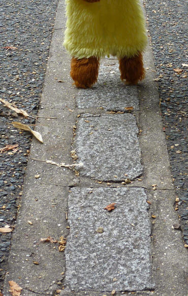 Greenwich Park - Yellow Teddy on granite Meridian Line