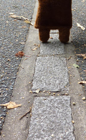 Greenwich Park - Brown Teddy on granite Meridian Line