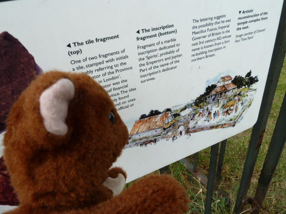 Greenwich Park - Brown Teddy reading noticeboard