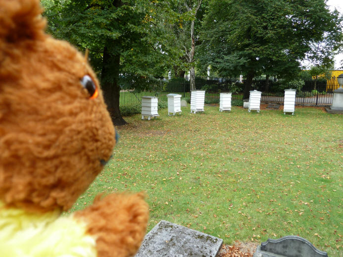 Greenwich Park - Devonport House beehives