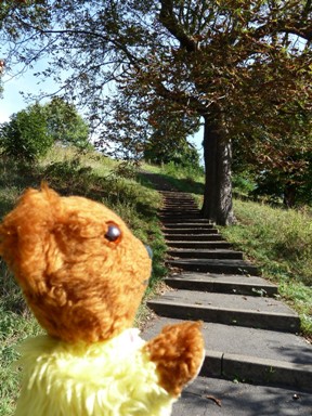 Greenwich Park - Steps leading up to One Tree Hill