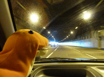 Dino Dartford tunnel