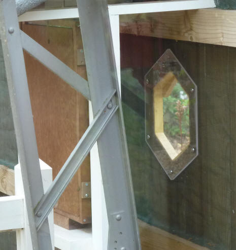 Hexagonal window for viewing the bees