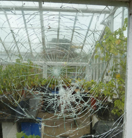 Broken glass pane in greenhouse