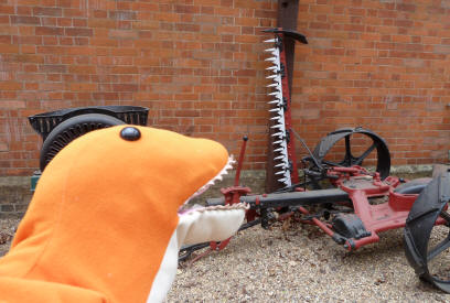 Dino admiring the teeth on a mechanical rake