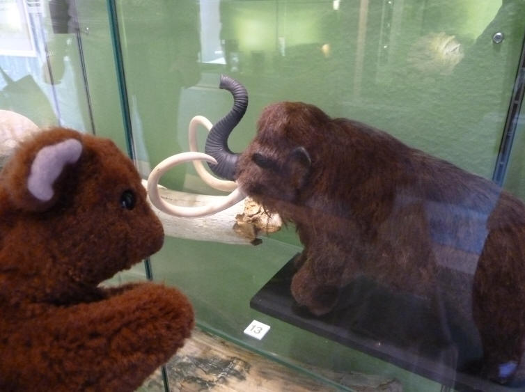 Brown Teddy with model of woolly mammoth