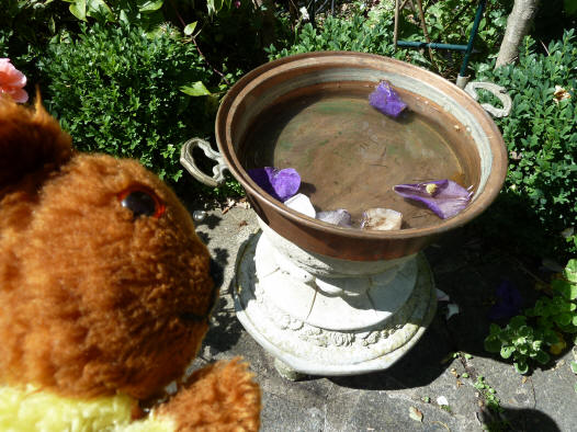 Copper dish on birdbath