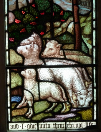 Sheep - stained glass, Christ Church, Chislehurst, Kent