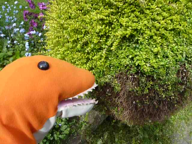 Dino wth clipped bush