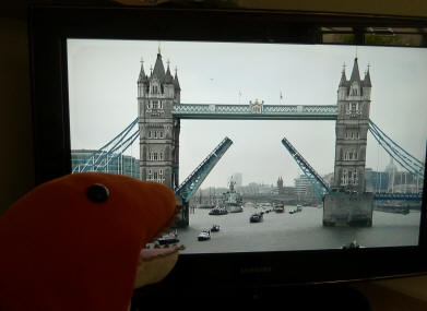 Diamond Jubilee Pageant - Dino watching Tower Bridge opening