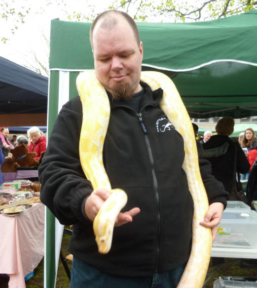 Petts Wood May Fayre - Reptile Events - Citrine the Burmese Python