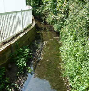 Petts Wood stream between houses