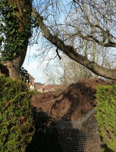 Priory Park compost heaps