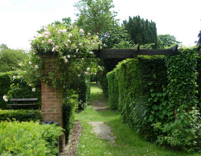 Priory gardens hedging