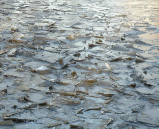 Priory Park frozen pond broken ice