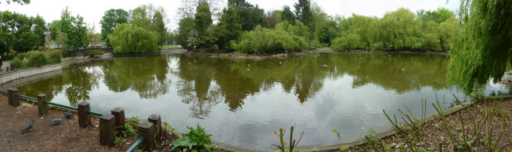 Priory pond filling up