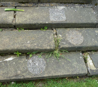 Priory stone steps