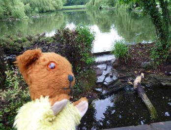 Yellow Teddy with Priory Park weir