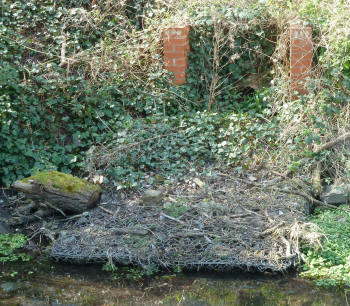 Wire netting raft by River Cray outlet