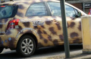 Leopard patterned car