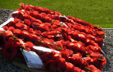 Sevenoaks - War Memorial poppies