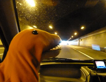 Dino enjoying tunnel under River Thames