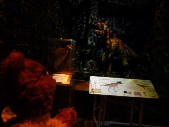 Dinosaur exhibition - Yellow Teddy with Tyrannosaurus