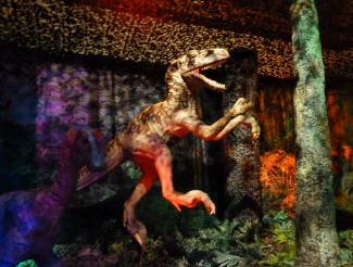 Dinosaur exhibition Deinonychus