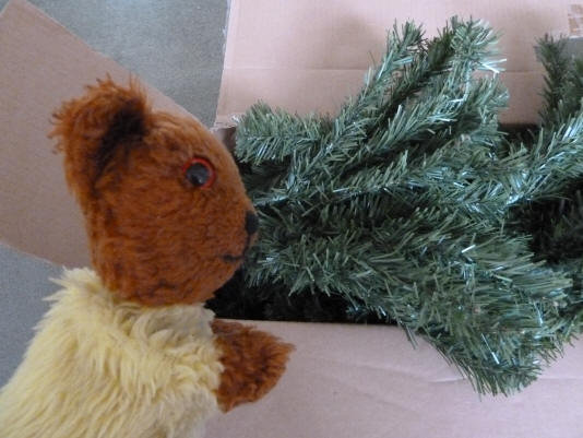 Yellow Teddy putting Christmas tree in box