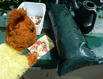 Yellow Teddy planting nasturtiums in hanging pouches