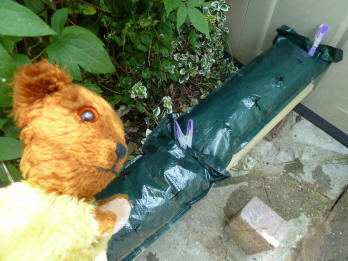 Yellow Teddy with plant pouches