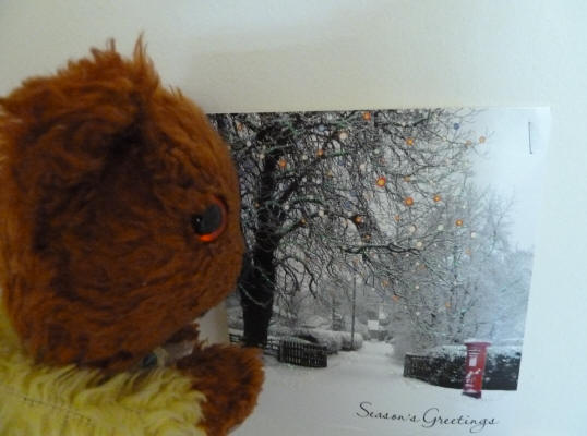 Yellow Teddy with snowy Christmas card