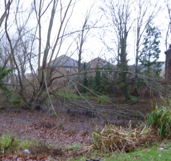 Priory Park broken branches