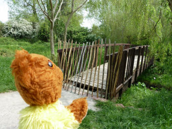 Yellow Teddy seeing bridge out of action