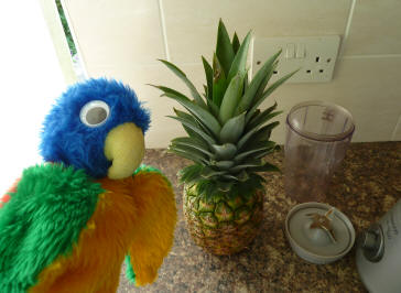 Blue Parrot with pineapple