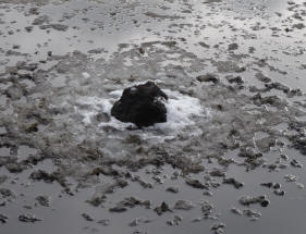 Priory Pond rock surrounded by ice