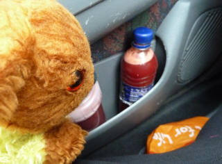 Yellow Teddy with veggie juice drinks