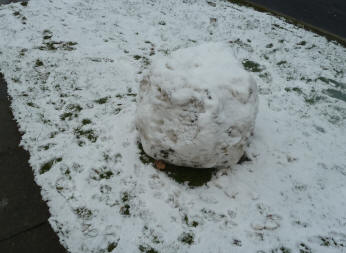 Snowball on grass verge