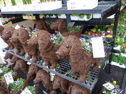 Twiggy dog plant holders