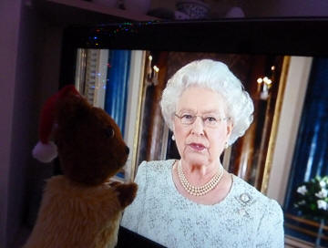 Yellow Teddy watching the Queen