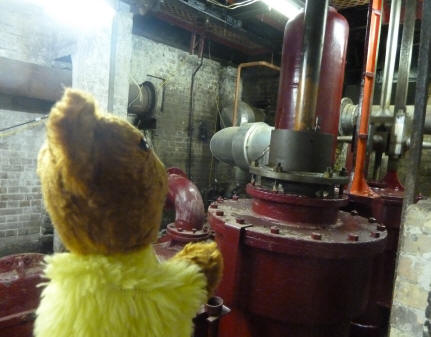 Yellow Teddy watching valve gear in basement