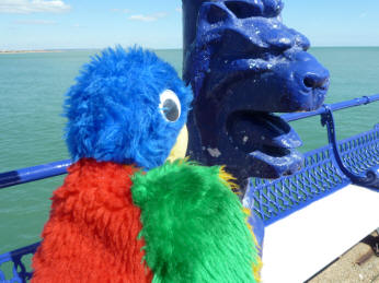 Blue Parrot with pier lion on lamppost