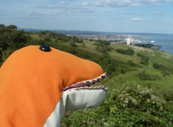 Dino on Beachy Head looking over Eastbourne town