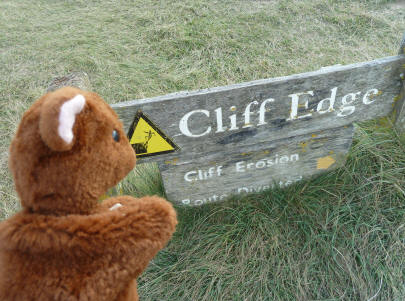 Borwn Teddy with cliff edge sign