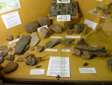 Dinosaur fossils