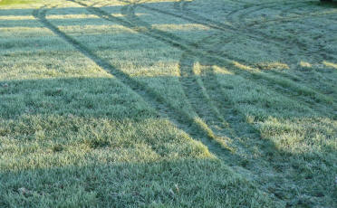 Car tracks frosty grass