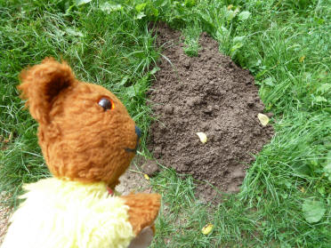 Yellow Teddy with molehill