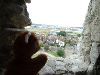 Brown Teddy looking over Rochester from the top of castle