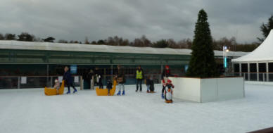 Ruxley ice rink