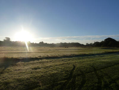 Frosty grass at boot sale